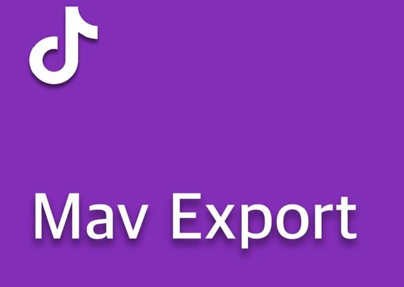 mav Export-Anwendung