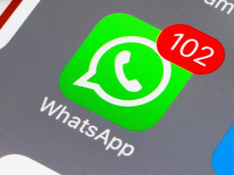 WhatsApp-Anwendung mit vielen Benachrichtigungen