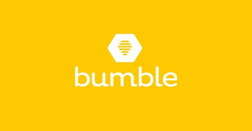 bumble logo aplicaicon