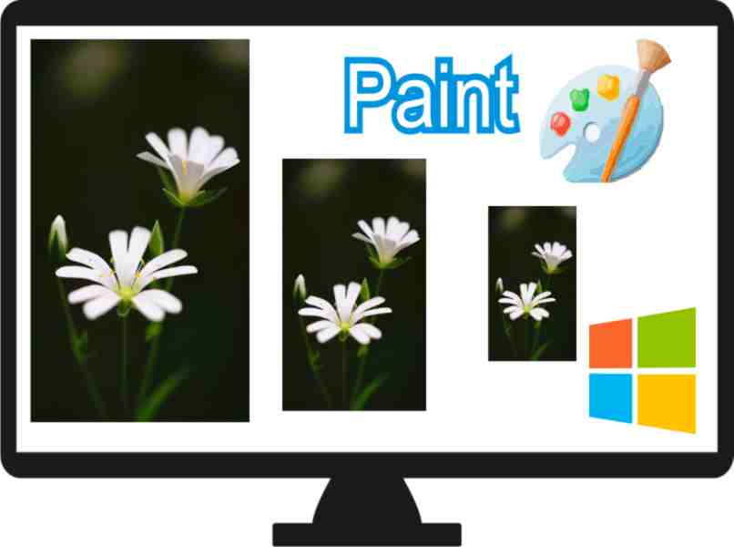redimensionar imagen con paint en windows