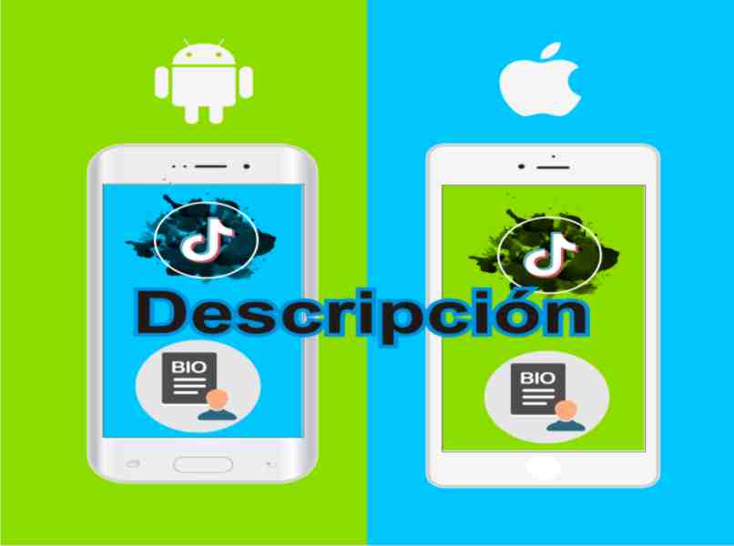 usar una descripcion tiktok en dispositivos