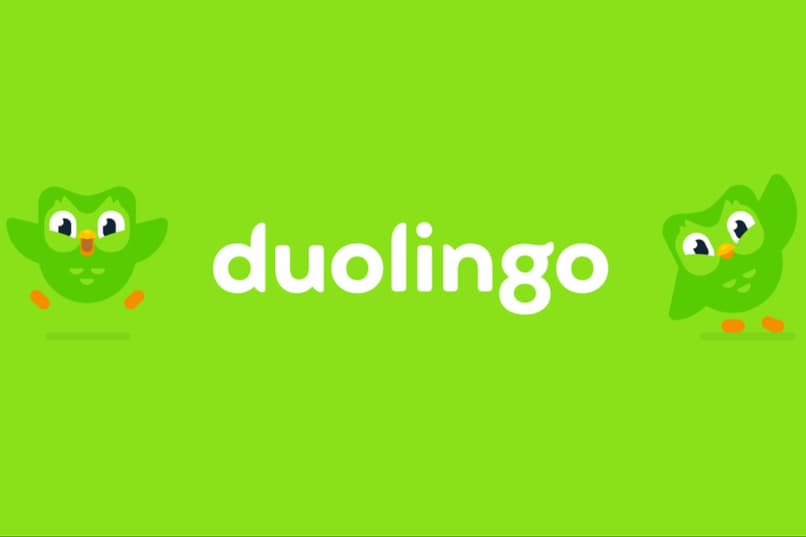 Duolingo for school modificar datos