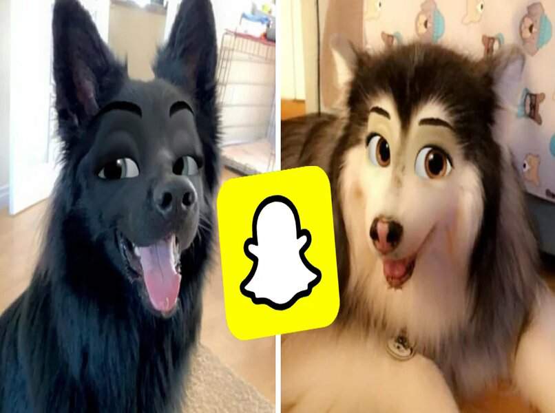filtros snapchat animales perros