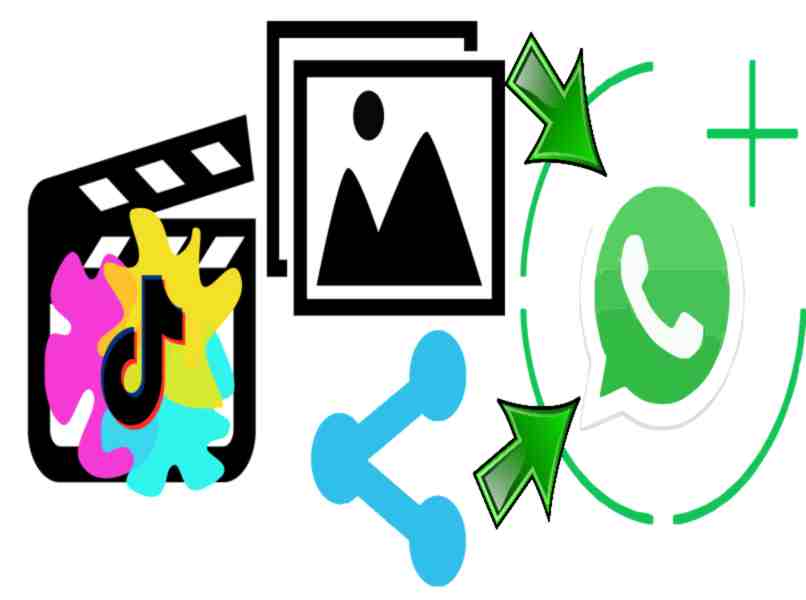 maneras de compartir un video tiktok
