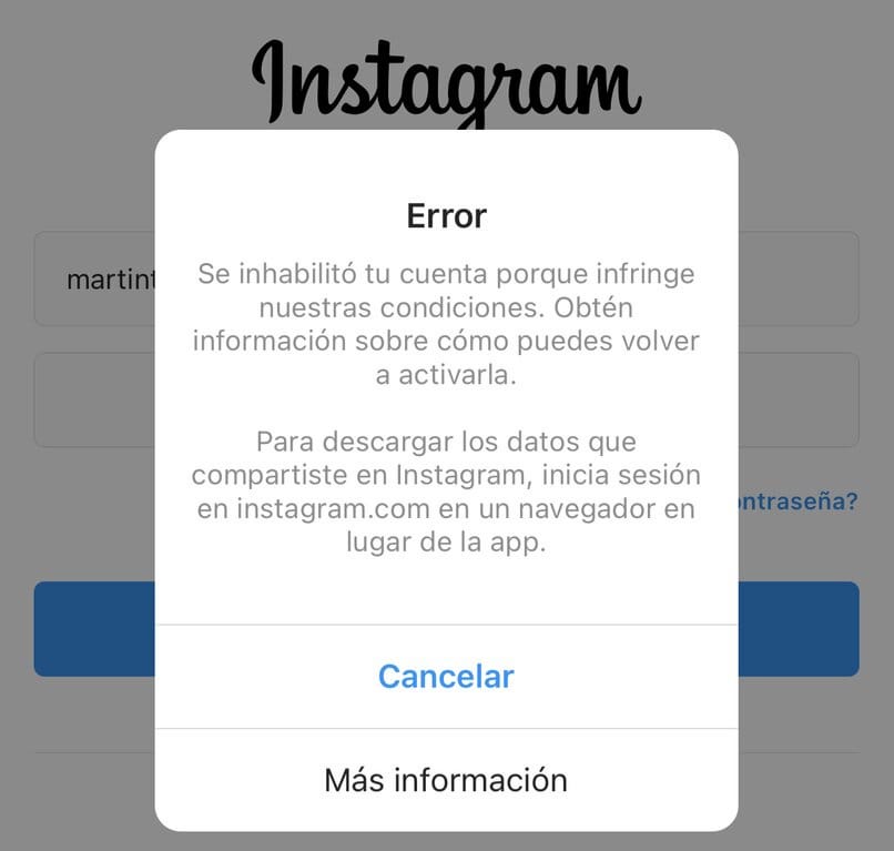 infraccion de instagram