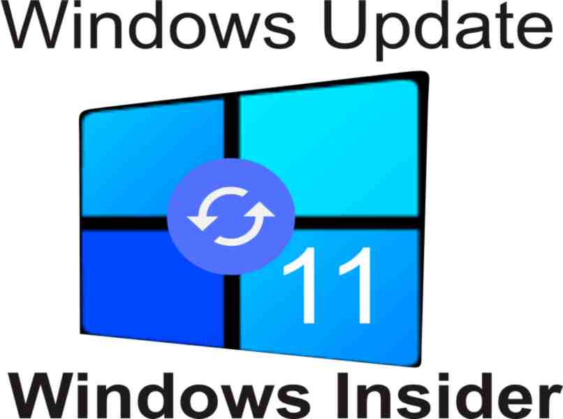 instalar windows 11 con programa insider