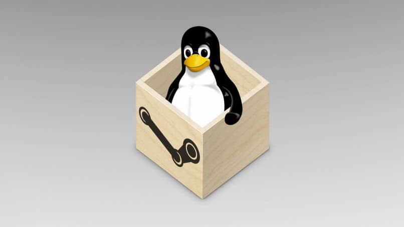 pinguino emblema de linux en una caja 