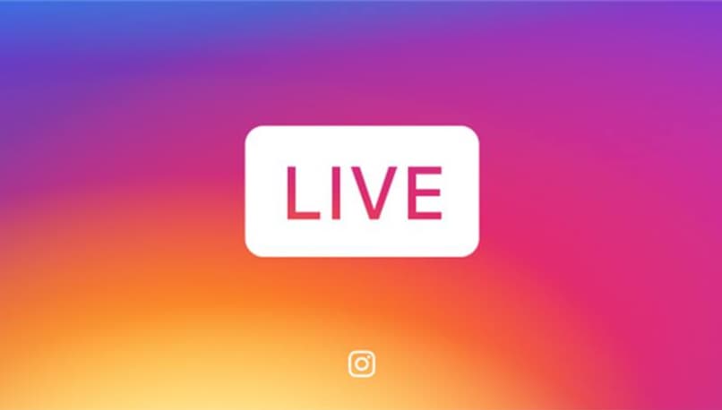 live rosado instagram pc