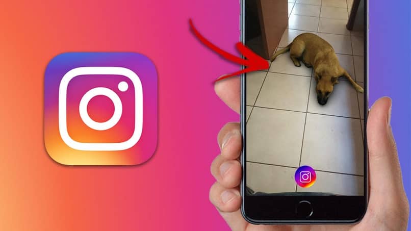 Verwenden Sie den Filter Sasha Dog Instagram Tiktok