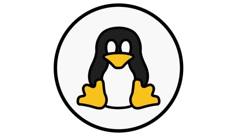 pinguino bebe mascota de linux