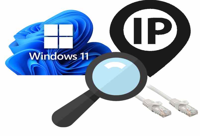 ver la ip publica y privada en windows 11