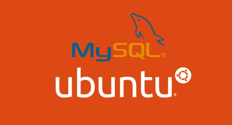 borrar mysql en ubuntu