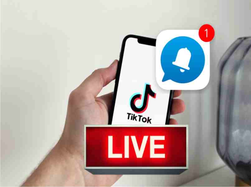 ver live tiktok por medio de notificacion