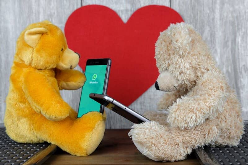 osos de peluche utilizando telefonos con whatsapp