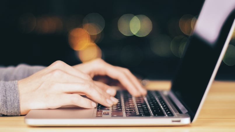 persona utilizando computador