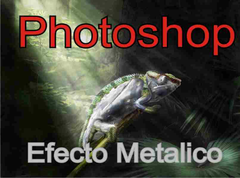 chameleon image with metallic effect