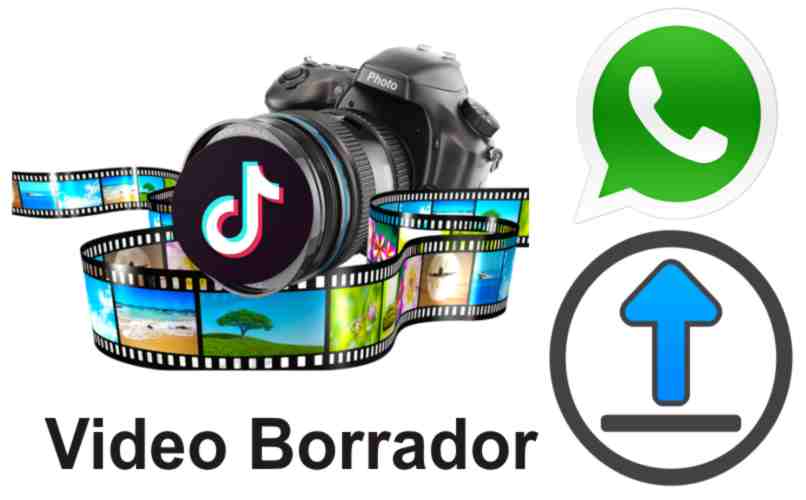 subir un video tiktok borrador a whatsapp