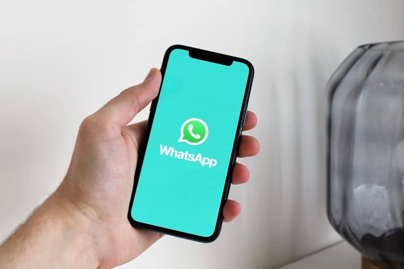 buscar conexion whatsapp