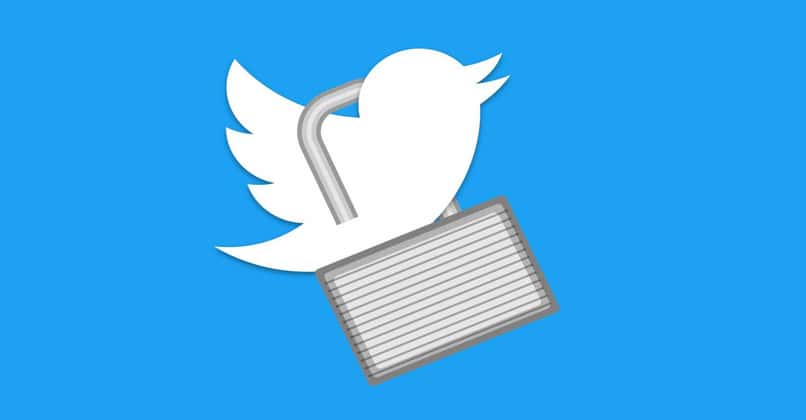 cuenta privada de twiter seguirdad maxima 