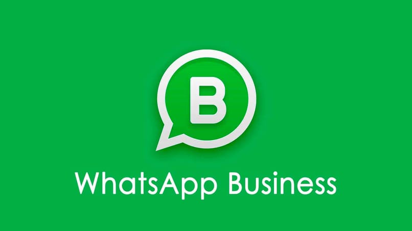 aplicacion whatsapp business