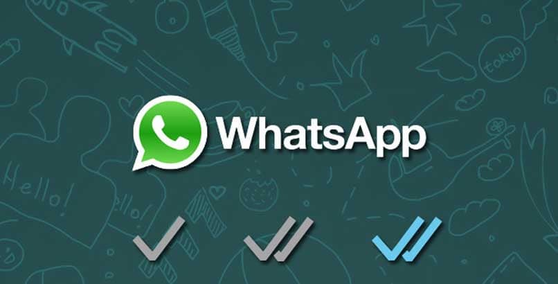 whatsapp clasificacion de estados del mensaje