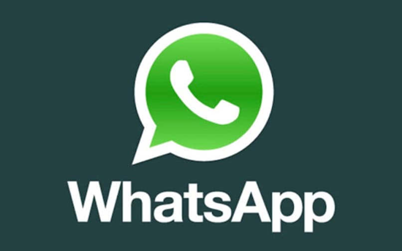 recuperar contactos whatsapp