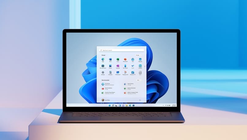 programas de windows 11